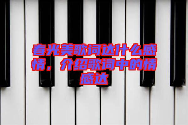 春光美歌詞達(dá)什么感情，介紹歌詞中的情感達(dá)