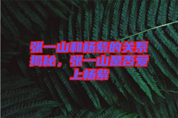 張一山和楊紫的關系揭秘，張一山是否愛上楊紫