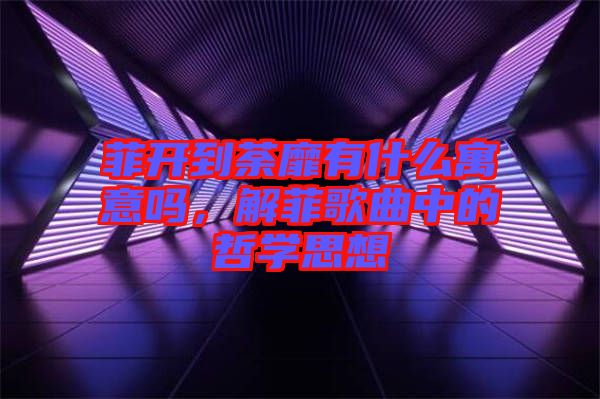 菲開到荼靡有什么寓意嗎，解菲歌曲中的哲學思想