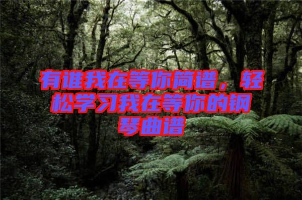 有誰(shuí)我在等你簡(jiǎn)譜，輕松學(xué)習(xí)我在等你的鋼琴曲譜