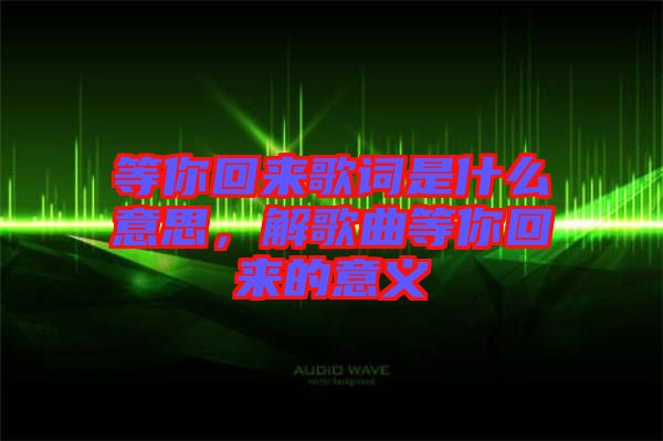 等你回來歌詞是什么意思，解歌曲等你回來的意義