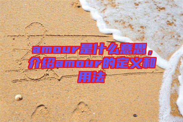 amour是什么意思，介紹amour的定義和用法