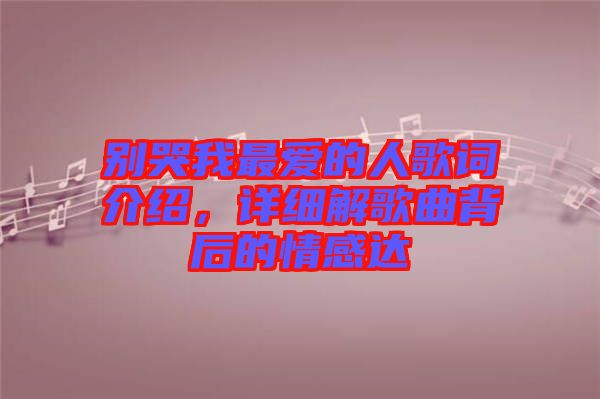 別哭我最愛的人歌詞介紹，詳細(xì)解歌曲背后的情感達(dá)