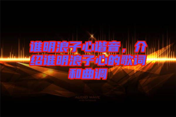 誰明浪子心諧音，介紹誰明浪子心的歌詞和曲調(diào)