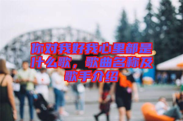 你對(duì)我好我心里都是什么歌，歌曲名稱及歌手介紹