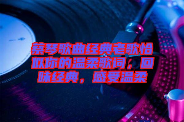 蔡琴歌曲經(jīng)典老歌恰似你的溫柔歌詞，回味經(jīng)典，感受溫柔