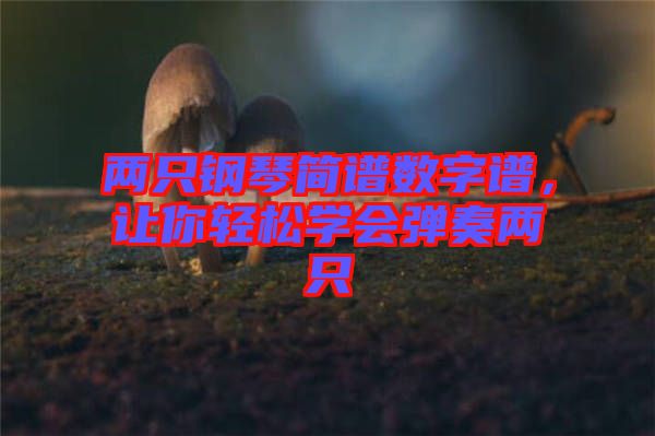 兩只鋼琴簡譜數(shù)字譜，讓你輕松學會彈奏兩只