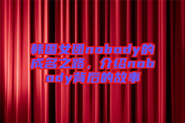 韓國(guó)女團(tuán)nobody的成名之路，介紹nobody背后的故事