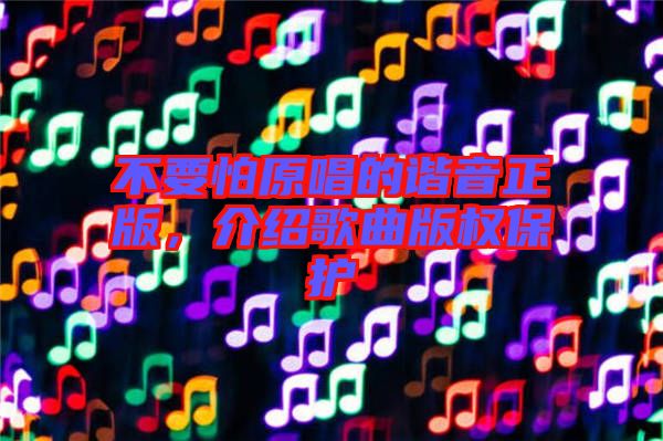 不要怕原唱的諧音正版，介紹歌曲版權保護