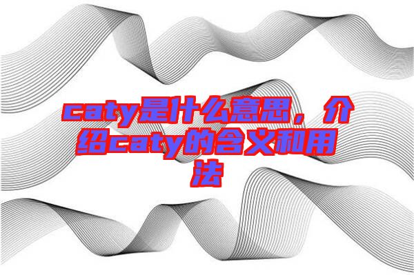 caty是什么意思，介紹caty的含義和用法