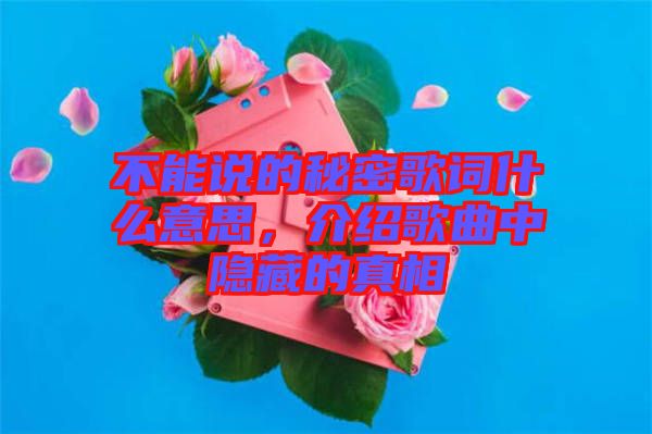 不能說的秘密歌詞什么意思，介紹歌曲中隱藏的真相