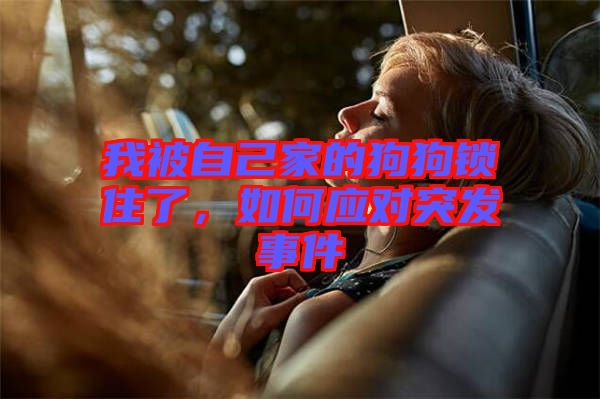 我被自己家的狗狗鎖住了，如何應(yīng)對突發(fā)事件