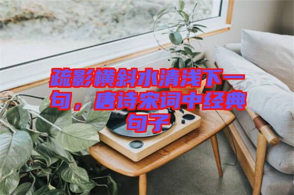 疏影橫斜水清淺下一句，唐詩宋詞中經典句子