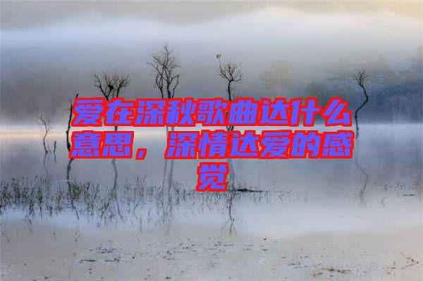 愛(ài)在深秋歌曲達(dá)什么意思，深情達(dá)愛(ài)的感覺(jué)