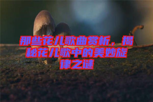 那些花兒歌曲賞析，揭秘花兒歌中的美妙旋律之謎