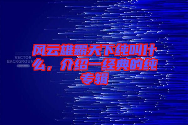 風(fēng)云雄霸天下純叫什么，介紹一經(jīng)典的純專輯