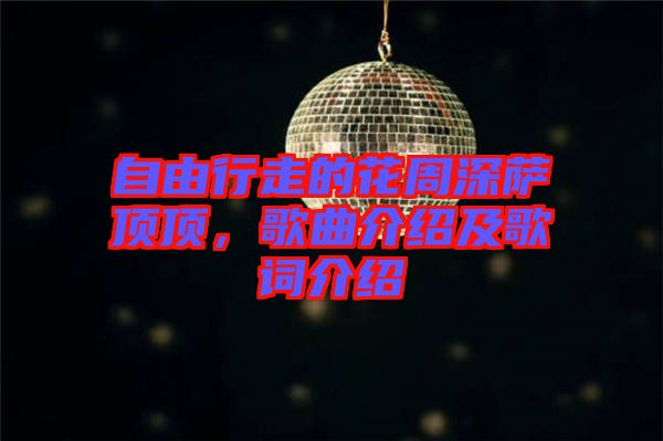 自由行走的花周深薩頂頂，歌曲介紹及歌詞介紹