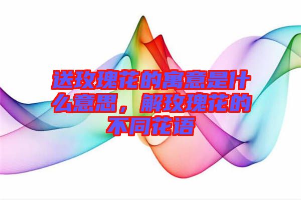 送玫瑰花的寓意是什么意思，解玫瑰花的不同花語