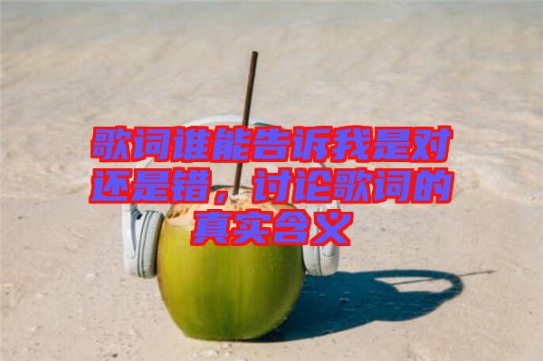 歌詞誰能告訴我是對還是錯，討論歌詞的真實含義