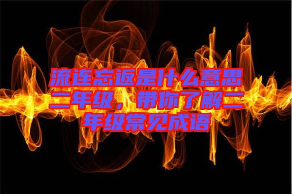 流連忘返是什么意思二年級(jí)，帶你了解二年級(jí)常見(jiàn)成語(yǔ)