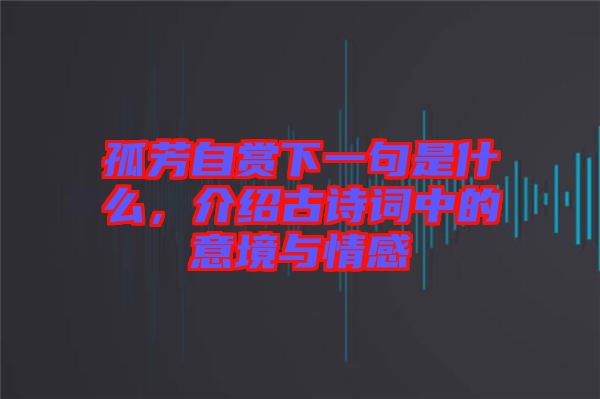 孤芳自賞下一句是什么，介紹古詩詞中的意境與情感