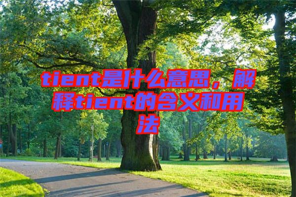 tient是什么意思，解釋tient的含義和用法