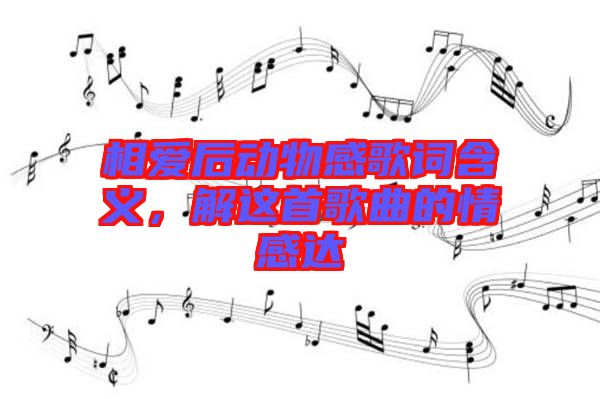 相愛后動(dòng)物感歌詞含義，解這首歌曲的情感達(dá)