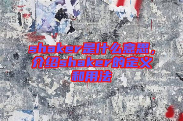 shaker是什么意思，介紹shaker的定義和用法