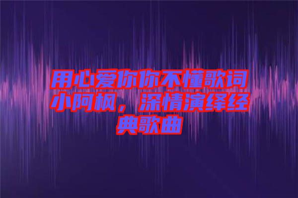 用心愛你你不懂歌詞小阿楓，深情演繹經(jīng)典歌曲