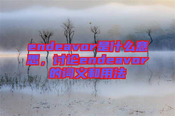 endeavor是什么意思，討論endeavor的詞義和用法