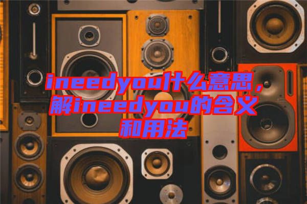 ineedyou什么意思，解ineedyou的含義和用法