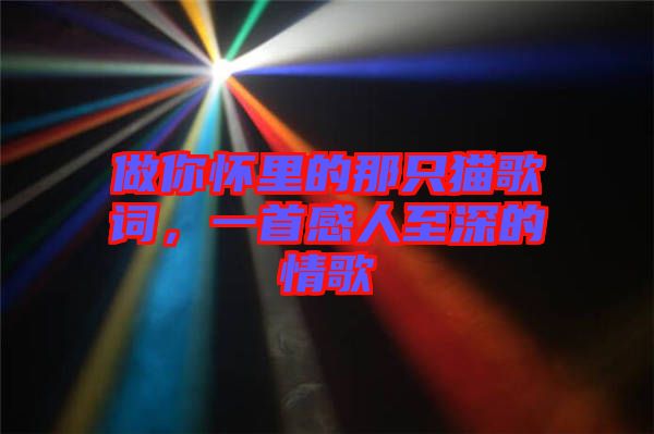 做你懷里的那只貓歌詞，一首感人至深的情歌