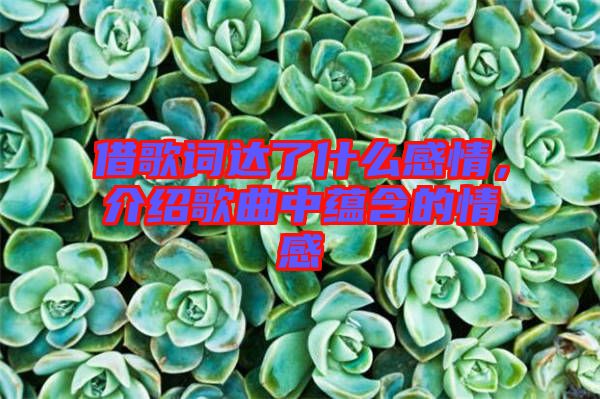 借歌詞達了什么感情，介紹歌曲中蘊含的情感