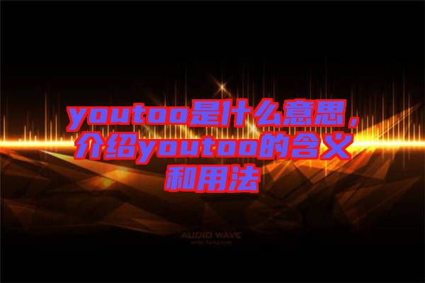 youtoo是什么意思，介紹youtoo的含義和用法