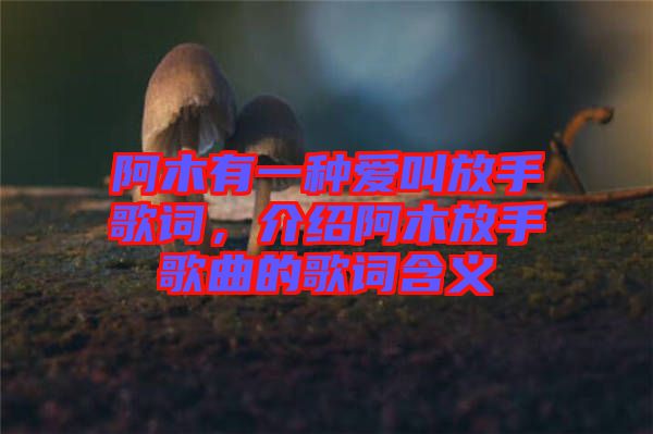 阿木有一種愛叫放手歌詞，介紹阿木放手歌曲的歌詞含義