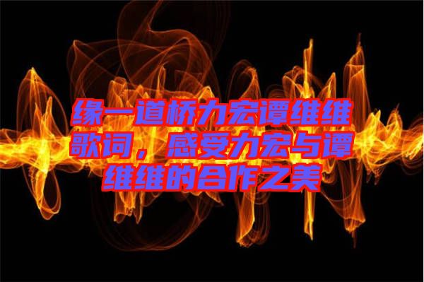 緣一道橋力宏譚維維歌詞，感受力宏與譚維維的合作之美