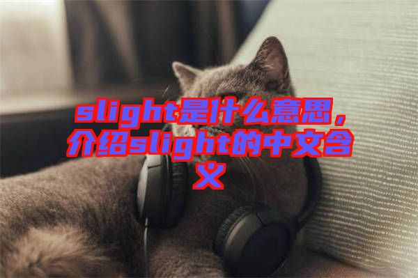 slight是什么意思，介紹slight的中文含義