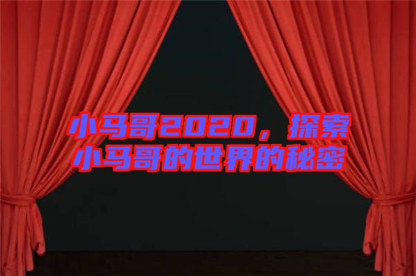 小馬哥2020，探索小馬哥的世界的秘密