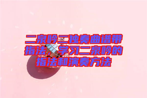 二泉吟二獨(dú)奏曲譜帶指法，學(xué)習(xí)二泉吟的指法和演奏方法