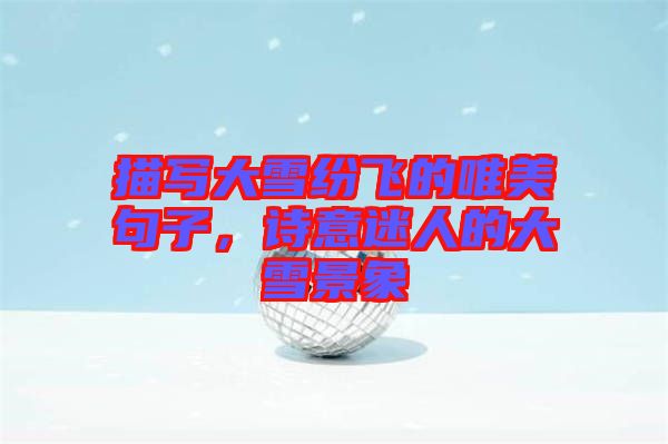 描寫大雪紛飛的唯美句子，詩(shī)意迷人的大雪景象