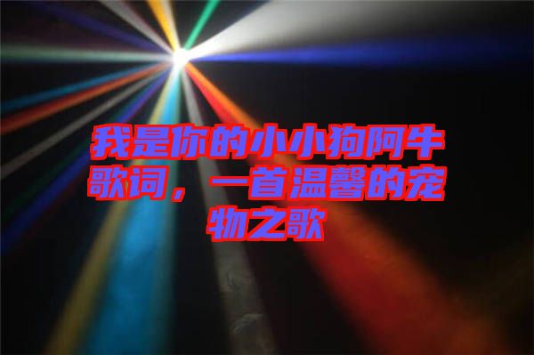 我是你的小小狗阿牛歌詞，一首溫馨的寵物之歌