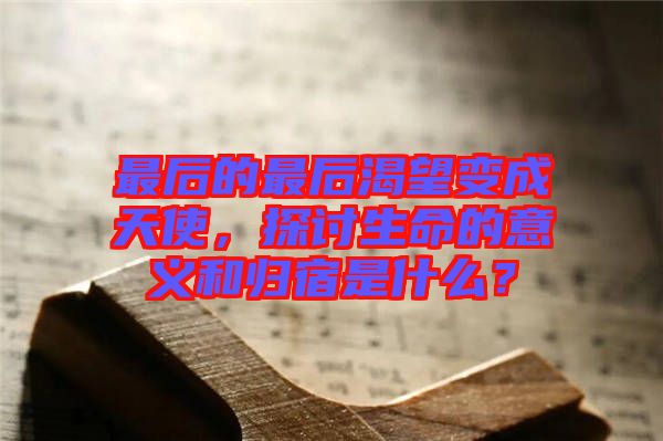 最后的最后渴望變成天使，探討生命的意義和歸宿是什么？