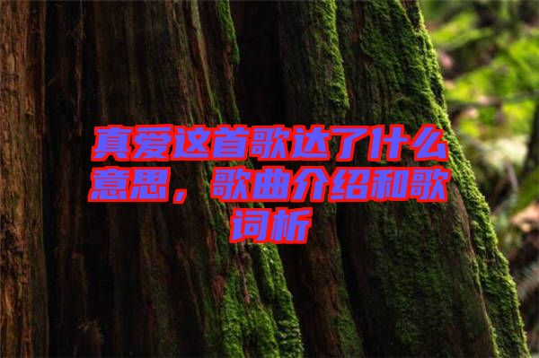 真愛(ài)這首歌達(dá)了什么意思，歌曲介紹和歌詞析