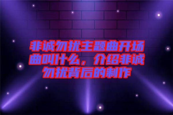 非誠勿擾主題曲開場(chǎng)曲叫什么，介紹非誠勿擾背后的制作