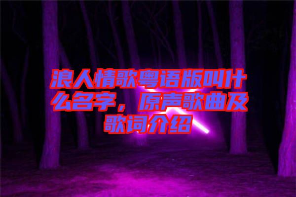 浪人情歌粵語(yǔ)版叫什么名字，原聲歌曲及歌詞介紹