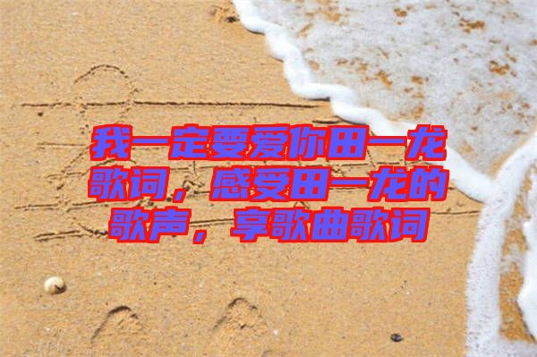 我一定要愛你田一龍歌詞，感受田一龍的歌聲，享歌曲歌詞