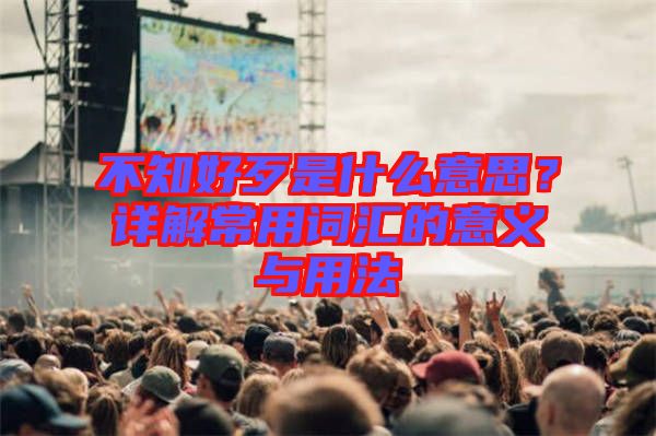 不知好歹是什么意思？詳解常用詞匯的意義與用法