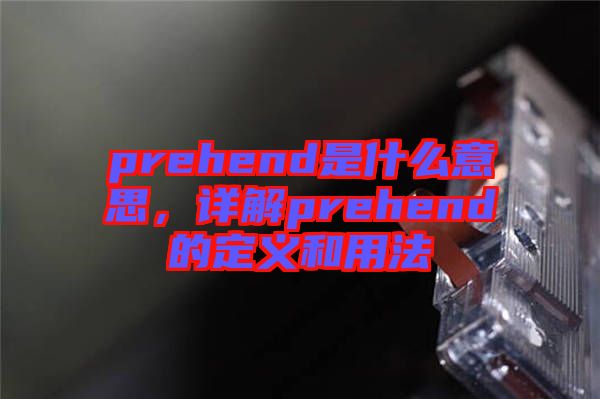 prehend是什么意思，詳解prehend的定義和用法