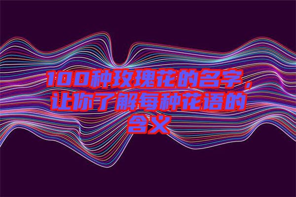 100種玫瑰花的名字，讓你了解每種花語的含義