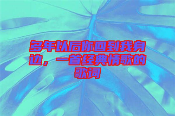 多年以后你回到我身邊，一首經(jīng)典情歌的歌詞